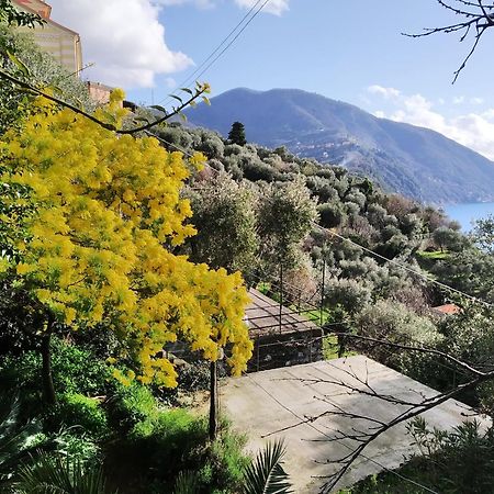 Villa San Prospero Camogli Kamer foto