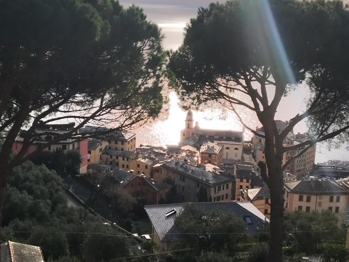 Villa San Prospero Camogli Buitenkant foto