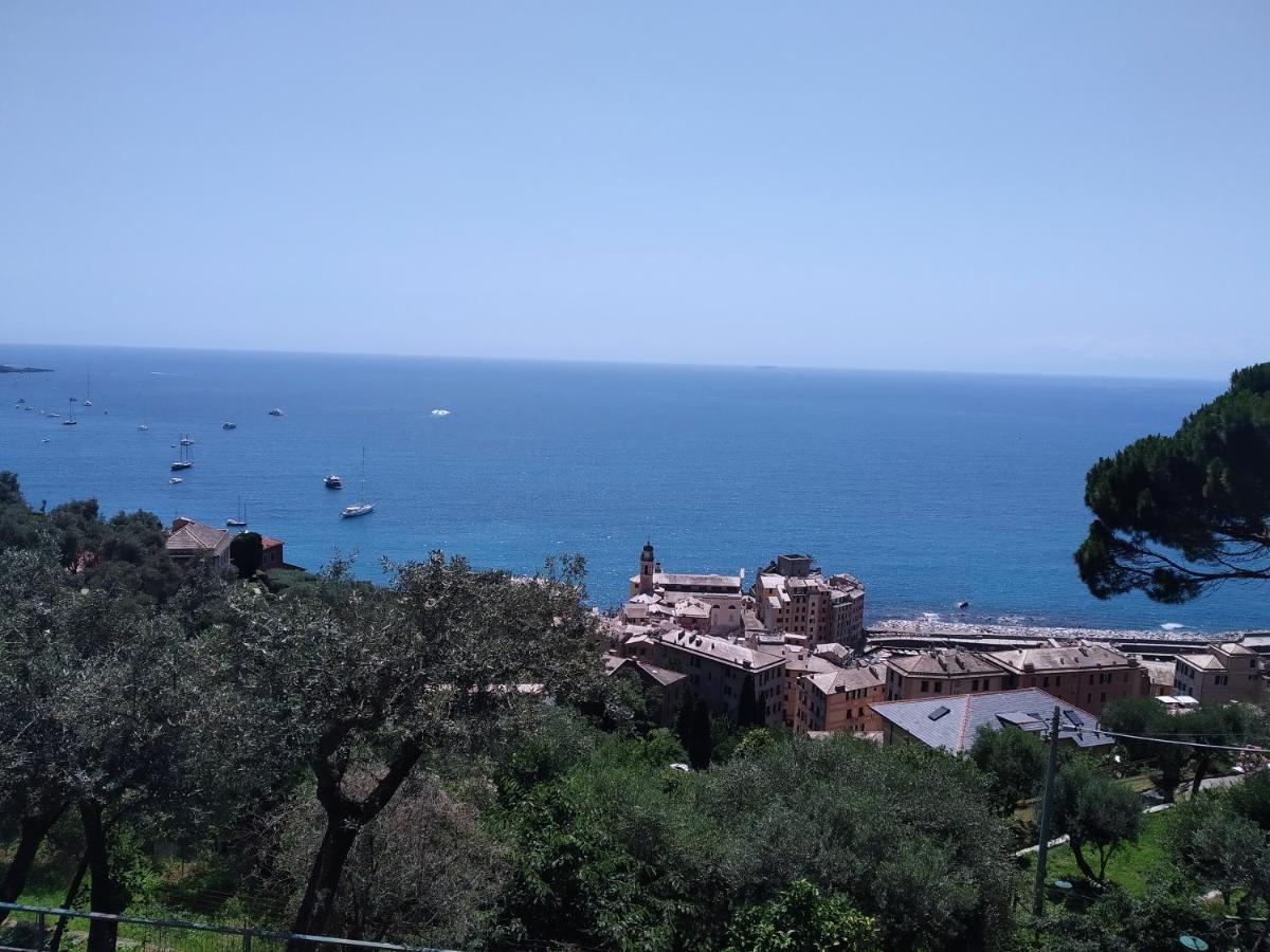 Villa San Prospero Camogli Buitenkant foto