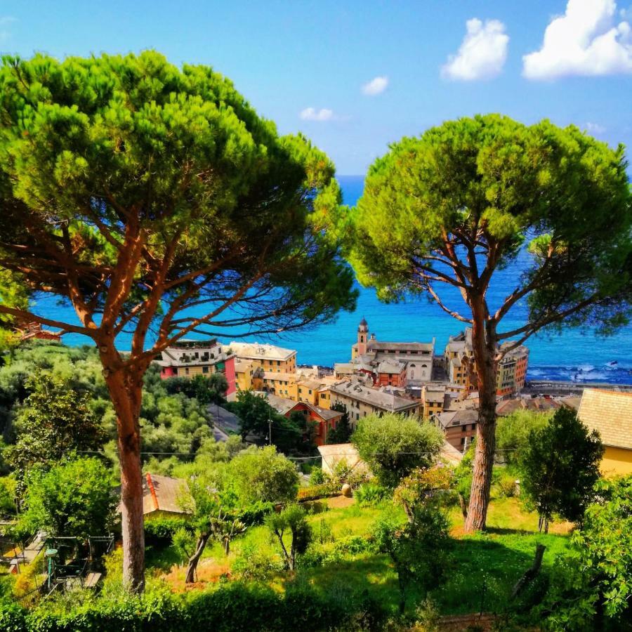Villa San Prospero Camogli Buitenkant foto