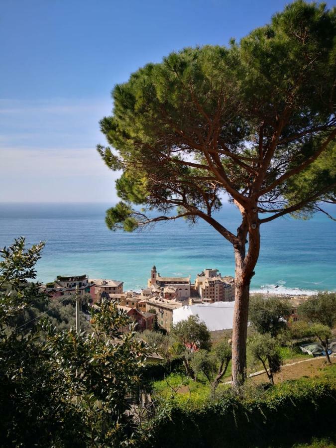 Villa San Prospero Camogli Buitenkant foto