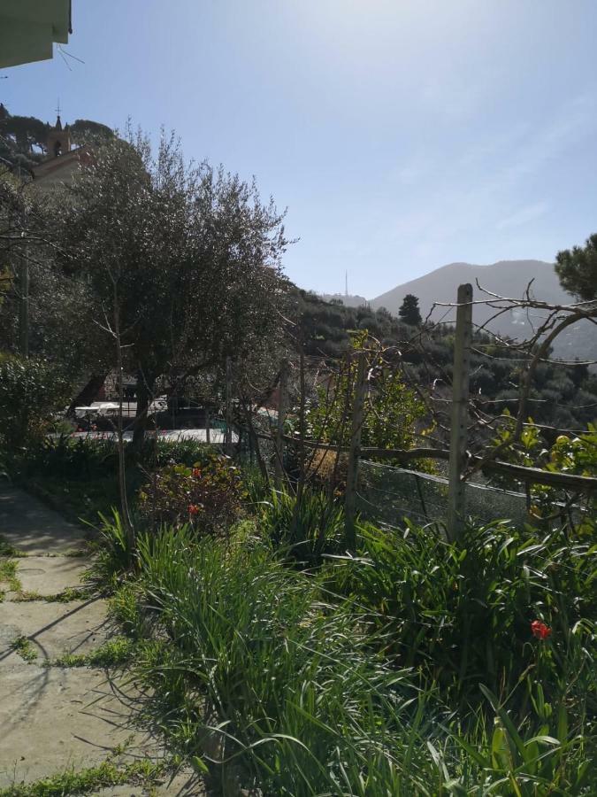 Villa San Prospero Camogli Buitenkant foto