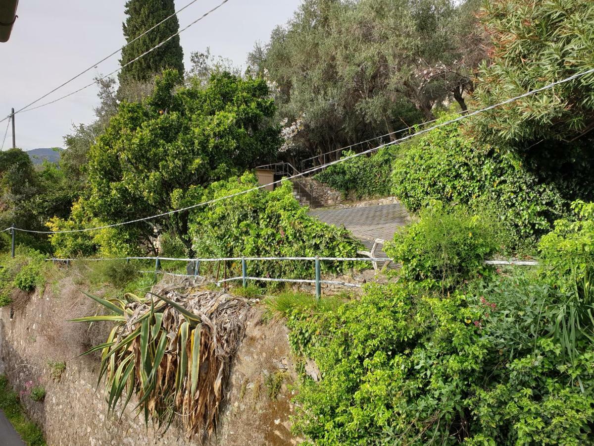 Villa San Prospero Camogli Buitenkant foto