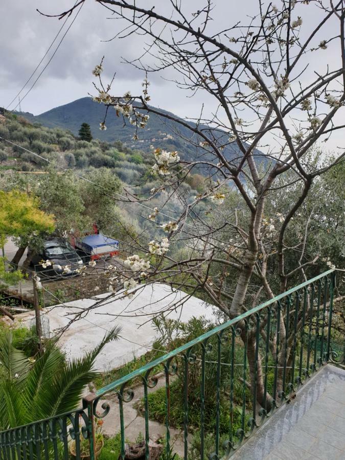 Villa San Prospero Camogli Buitenkant foto