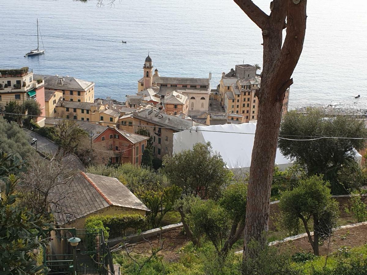 Villa San Prospero Camogli Buitenkant foto