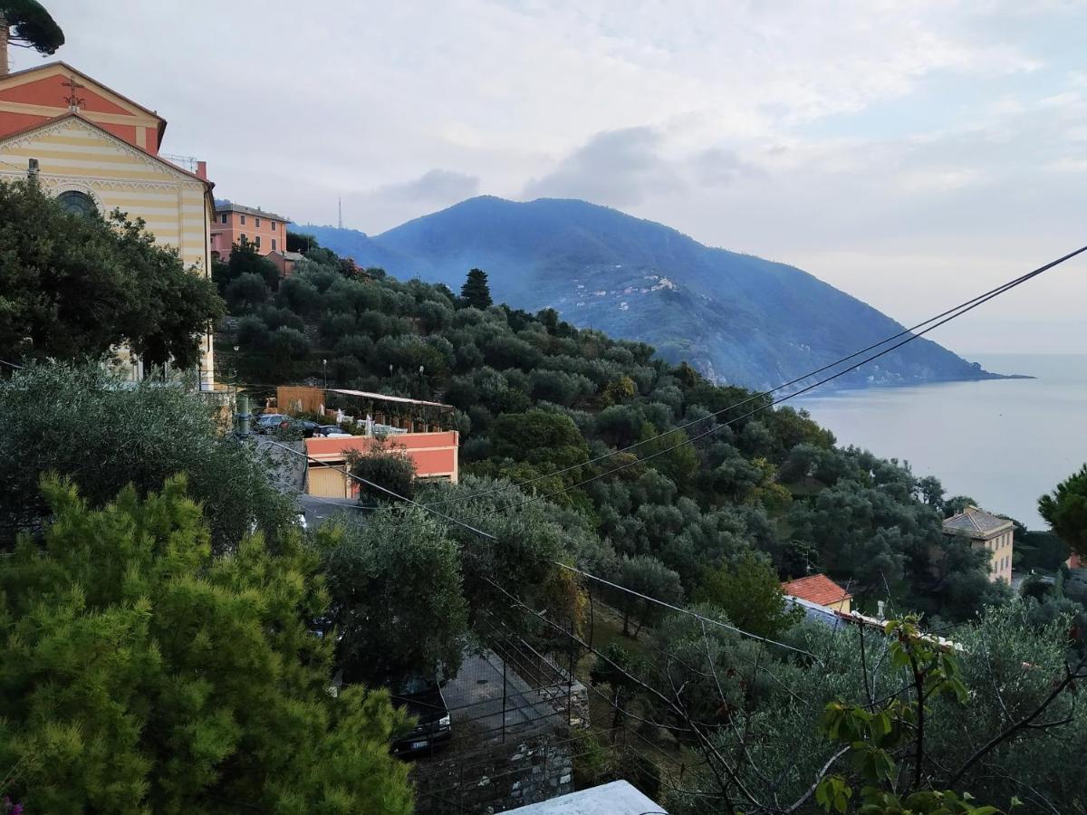Villa San Prospero Camogli Buitenkant foto